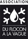 Logo du flocon à la vague