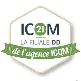 ICOM 21